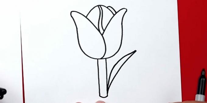 Kako nacrtati tulipan: počnite crtati desni list