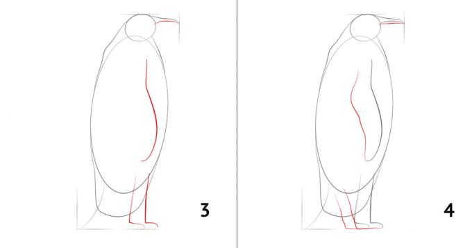 Kako nacrtati pingvina