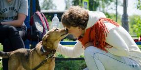 "Gurnuti štene u nos u lokve najštetniji je savjet": razgovori sa stručnjacima za ponašanje pasa