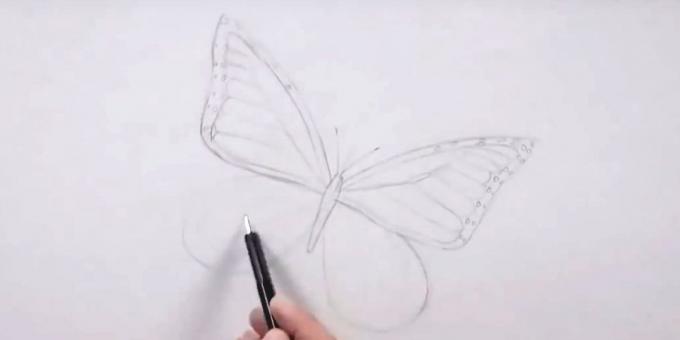Nacrtati krugove oko rubova na desnom krilu i lijeve oznakom krila uzorak