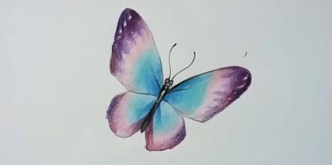 Dodajte više zasićenih boja ljubičasta leptir krila