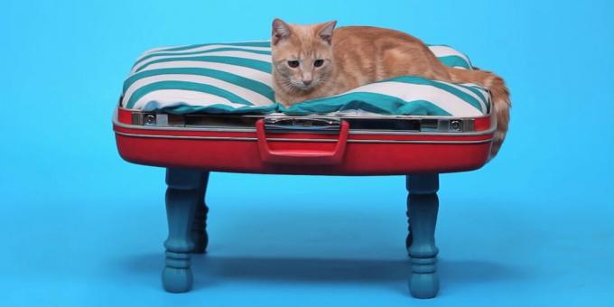 Kako napraviti kućni krevet za mačke od kofera