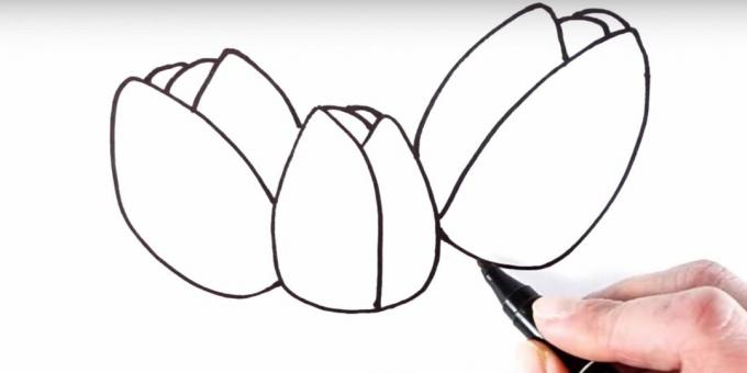 Kako nacrtati tulipan: dodajte natrag latice