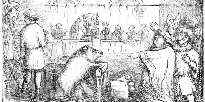 Svinji i njenim odojcima sudi se zbog ubojstva djeteta. Ilustracija iz dnevne knjige Chambers-a