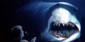 10 filmova o morskim psima koji će vas oduševiti ili prestrašiti