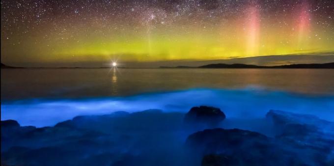 Nevjerojatno lijepo mjesto: bioluminiscentni vodama uz obalu Tasmanije