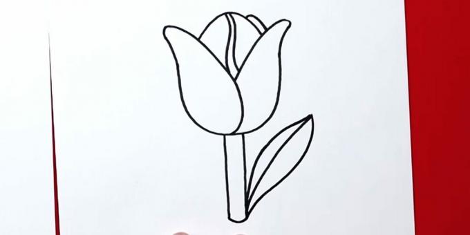 Kako nacrtati tulipan: završite desni list
