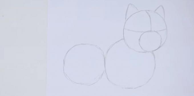 Nacrtajte uši i nacrtati dva kruga ispod glave