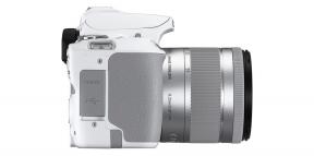 Canon predstavio EOS 250D - vrlo kompaktna i lagana SLR