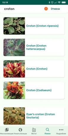 Prepoznati vrste sobne biljke koriste PlantSnap