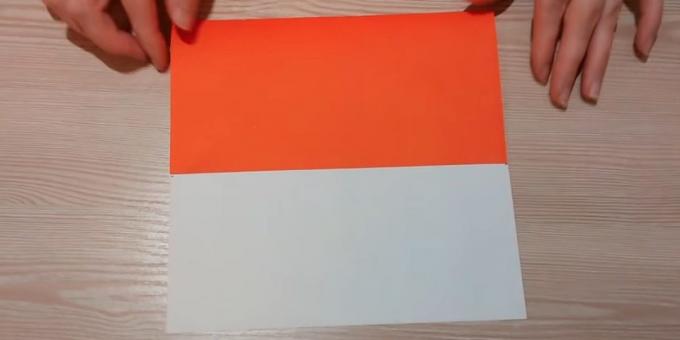 Fold rub papira