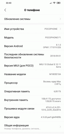 pregled Xiaomi Pocophone F1: sustav Version