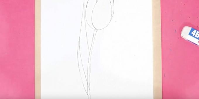Kako nacrtati tulipan: nacrtajte stabljiku i lijevi list