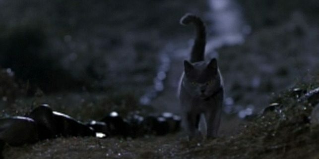 Filmovi o mačkama: Sematary za kućne ljubimce