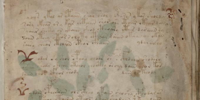 Misteriji povijesti: Voynichov rukopis