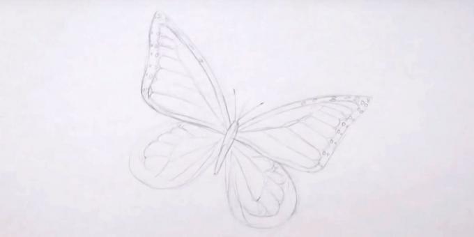 Nacrtajte uzorak na nižim krila
