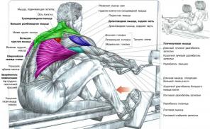 7 vrsta pull-ups za široke i moćne leđima