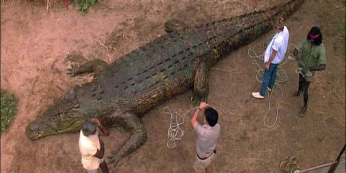 Filmovi o krokodilima: "Mračna vremena"