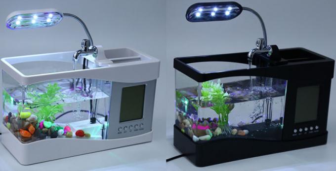 Mini Akvarij