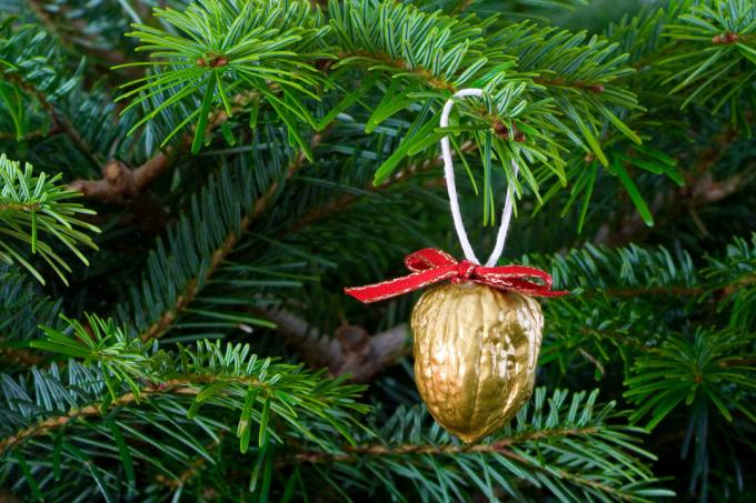 Ukrašavanje božićno drvce oraha