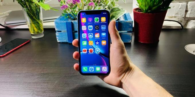 Pregled iPhone XR: situacija u ruci