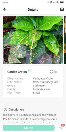 Prepoznati vrste sobne biljke koriste PictureThis