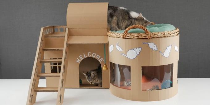 Kako napraviti dvoetažna kuća za mačka iz kutije sa svojim rukama