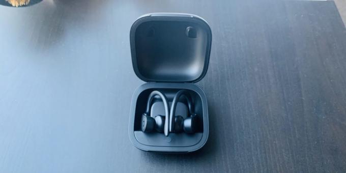 Powerbeats Pro: opći pogled