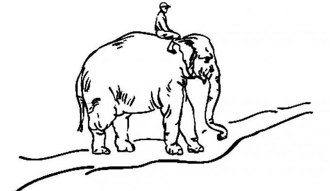 dobre navike: slon, jahač i cesta