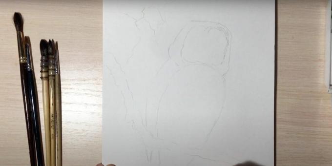 Kako nacrtati sovu: ocrtajte granu i tijelo sove