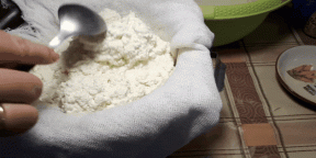 Kako napraviti domaći sir od mlijeka ili jogurta. 6 jednostavnih načina