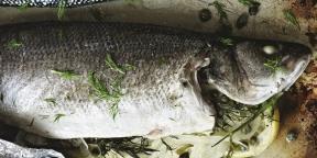 7 zanimljivih jela od ribe iz Gordon Ramsay