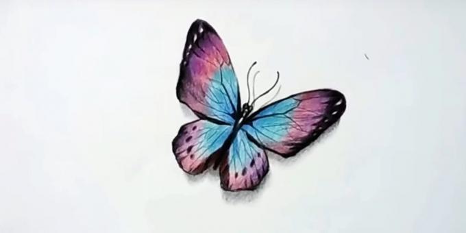 Kako nacrtati realan leptir olovke u boji