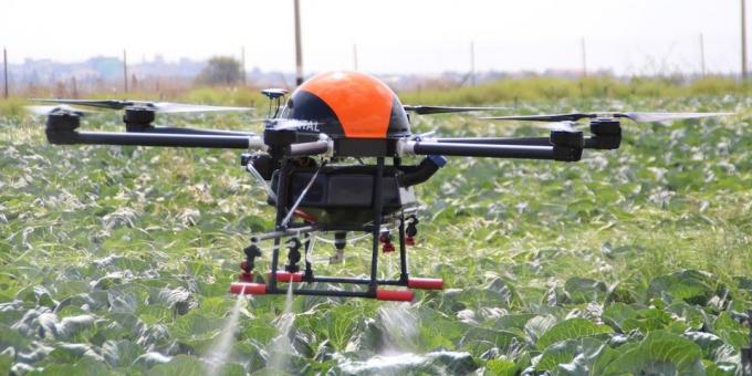 Drone pomaže rastu biljke
