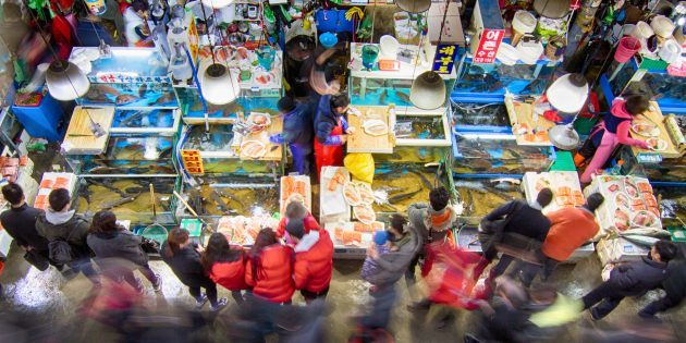 Zanimljivosti Južna Koreja: potrebno je da posjetite ribarnicu