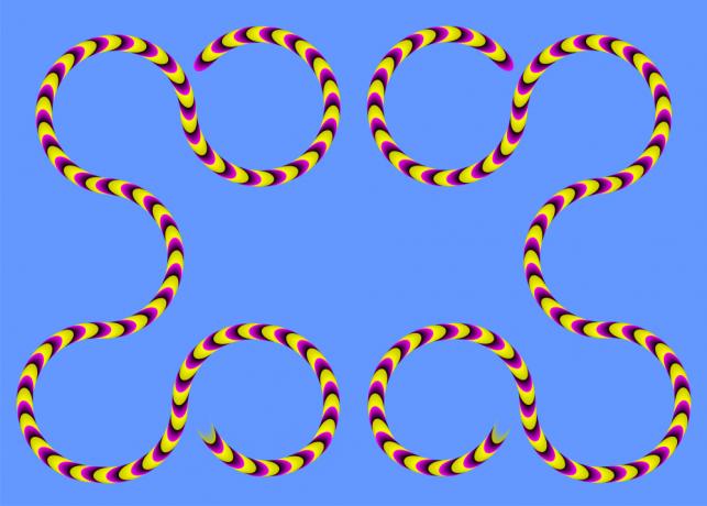optička iluzija: zmija