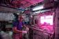Salata u prostoru. Astronauti rastu biljke na ISS i zašto je važno
