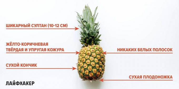 Kako odabrati ananas: znakovi zrelog ananasa