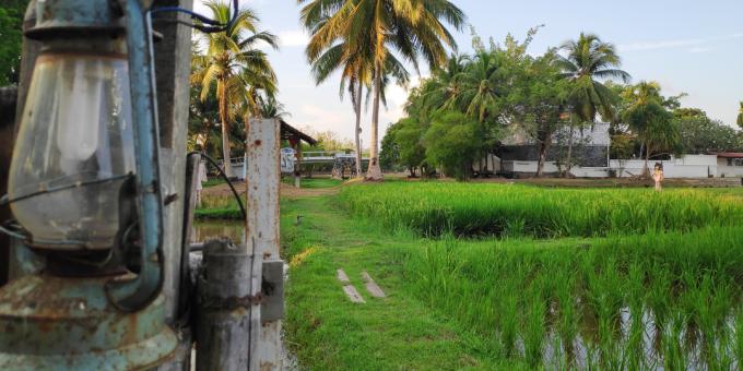 Znamenitosti Langkawija: Muzej kulture riže Laman Padi