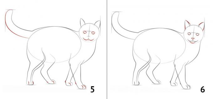 Kako nacrtati mačku