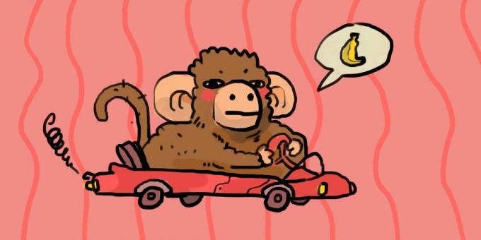 Vožnja majmuna
